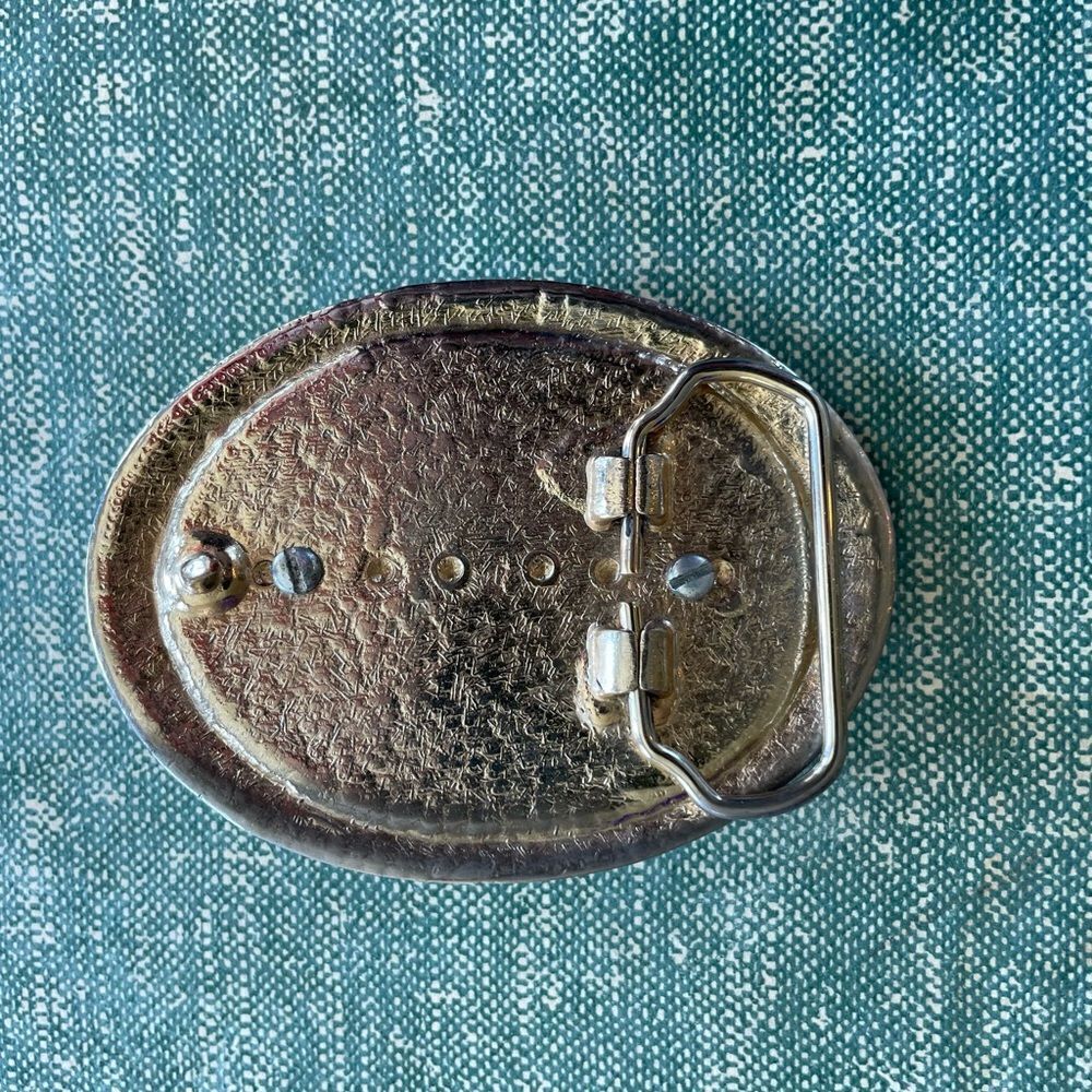 Silver and Gold Tone Belt Buckle with Insect EUC - Picture 2 of 4